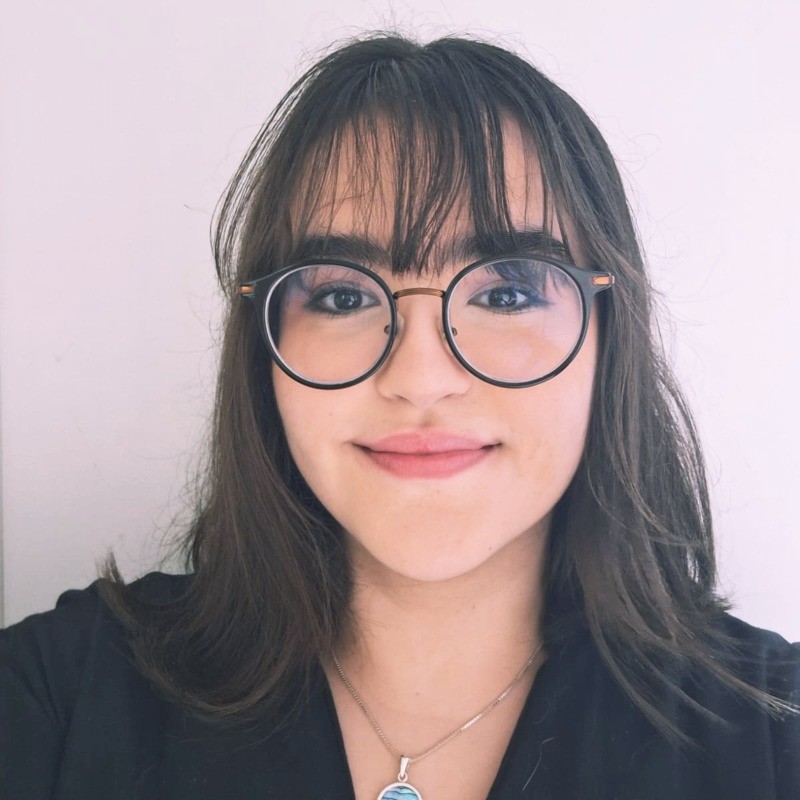 João Vítor Mendonça de Moraes